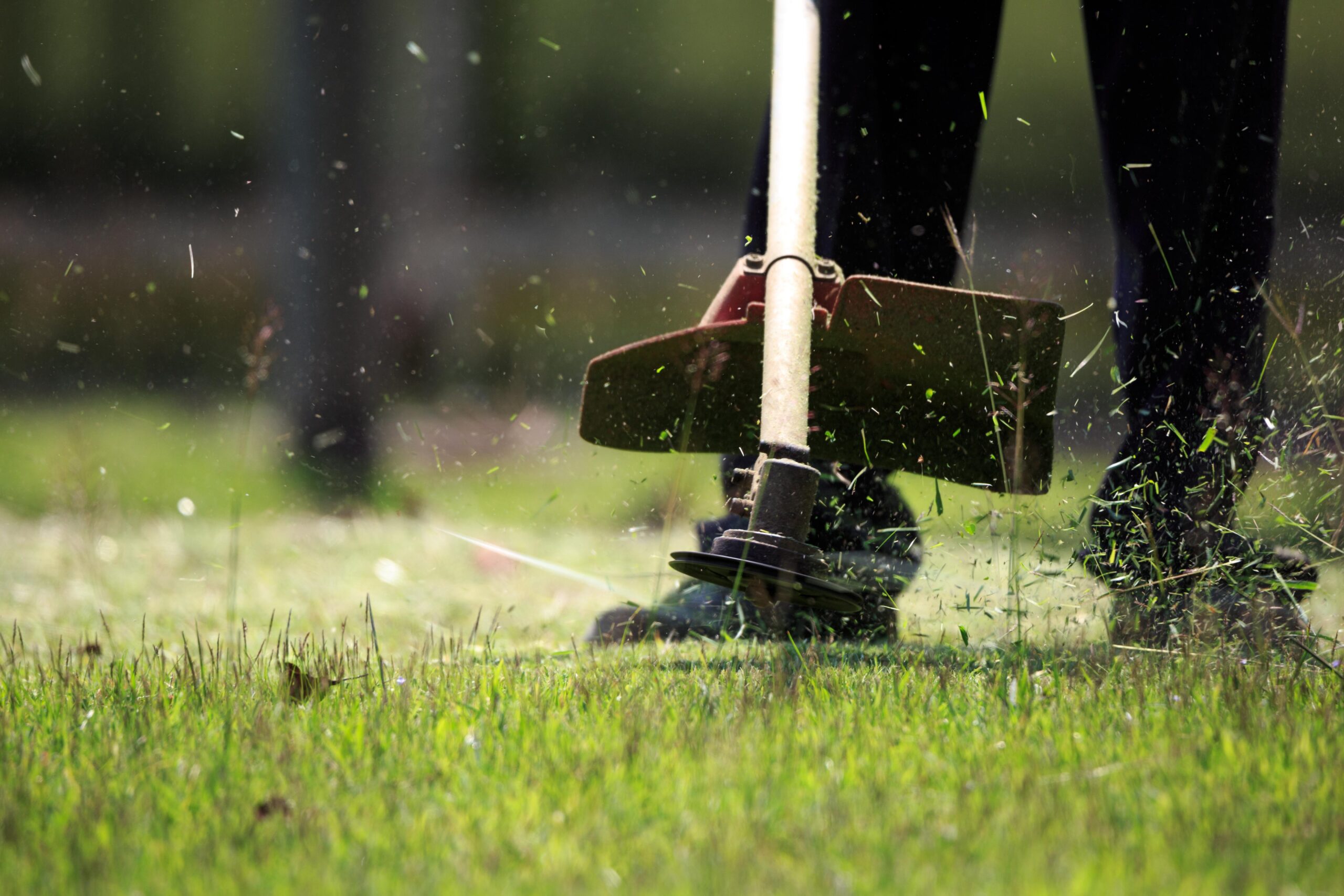 Cincinnati Lawn Care Company